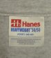 画像2: 90'S ATLANTIC PUFFINS 半袖 Tシャツ アッシュグレー (VINTAGE) (2)