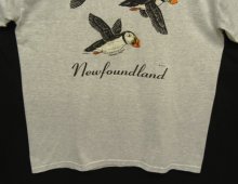 他の写真2: 90'S ATLANTIC PUFFINS 半袖 Tシャツ アッシュグレー (VINTAGE)