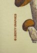 画像4: 00'S LIBERTY GRAPHICS "MUSHROOM" 染み込みプリント 半袖 Tシャツ ナチュラル (VINTAGE) (4)