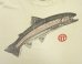 画像3: 90'S SALMON シングルステッチ 半袖 Tシャツ ホワイト USA製 (VINTAGE) (3)