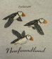 画像3: 90'S ATLANTIC PUFFINS 半袖 Tシャツ アッシュグレー (VINTAGE) (3)