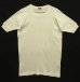 画像1: 60'S STANFIELD'S 袖先リブ 半袖 Tシャツ ホワイト (VINTAGE) (1)