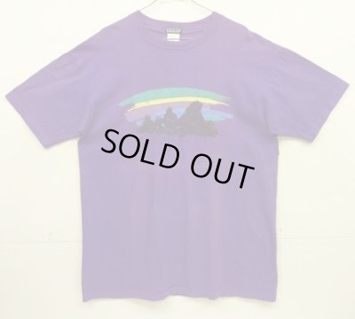 画像1: 80~90'S PATAGONIA 旧タグ シングルステッチ 半袖 Tシャツ グレープ USA製 (VINTAGE)