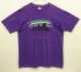 画像1: 80~90'S PATAGONIA 旧タグ シングルステッチ 半袖 Tシャツ グレープ USA製 (VINTAGE) (1)
