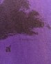画像4: 80~90'S PATAGONIA 旧タグ シングルステッチ 半袖 Tシャツ グレープ USA製 (VINTAGE) (4)