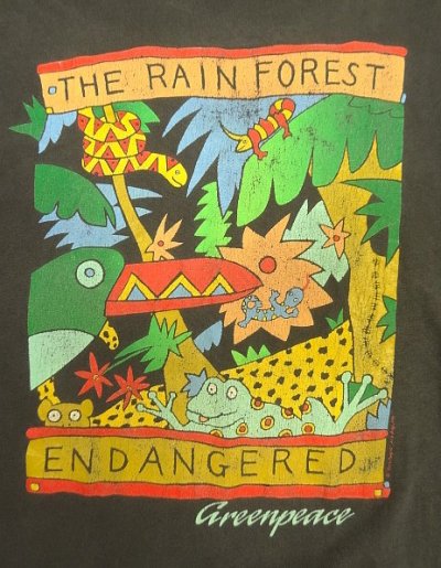 画像3: 80'S THE RAIN FOREST シングルステッチ 半袖 Tシャツ フェードブラック USA製 (VINTAGE)