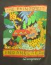 画像3: 80'S THE RAIN FOREST シングルステッチ 半袖 Tシャツ フェードブラック USA製 (VINTAGE) (3)