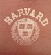 画像3: 80'S HARVARD シングルステッチ 半袖 Tシャツ フェードバーガンディ USA製 (VINTAGE) (3)