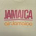 画像3: 80'S AIR JAMAICA シングルステッチ 半袖 Tシャツ ホワイト USA製 (VINTAGE) (3)