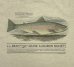 画像5: 90'S LL Bean "HARBORSIDE GRAPHICS" 両面プリント 半袖 Tシャツ アッシュグレー (VINTAGE)