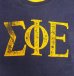 画像4: 80'S ΣΦΕ (SIGMA PHI EPSILON) リバーシブル 半袖 Tシャツ ネイビー/イエロー USA製 (VINTAGE)