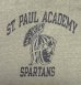 画像3: 80'S CHAMPION "SPARTANS" トリコタグ 88/12 染み込み三段プリント シングルステッチ 半袖 Tシャツ ヘザーグレー USA製 (VINTAGE) (3)
