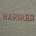 画像3: 70'S CHAMPION "HARVARD" バータグ 88/12 染み込みプリント シングルステッチ 半袖 Tシャツ ヘザーグレー USA製 (VINTAGE) (3)