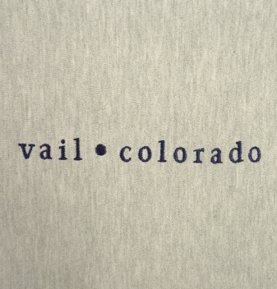 画像3: 90'S CHAMPION "VAIL COLORADO" 刺繍タグ リバースウィーブ グレー USA製 (VINTAGE)