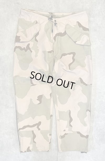 画像1: アメリカ軍 US ARMY ECWCS GEN1 ゴアテックスパンツ デザートカモ (VINTAGE)