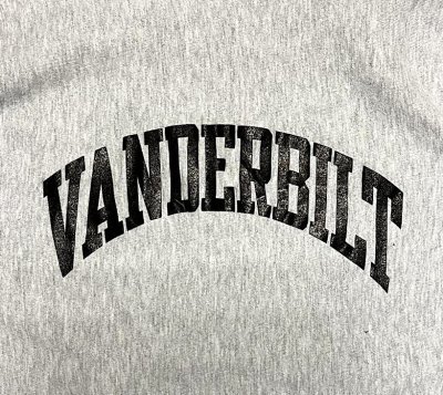 画像3: 90'S CHAMPION "VANDERBILT" 刺繍タグ リバースウィーブ グレー USA製 (VINTAGE)