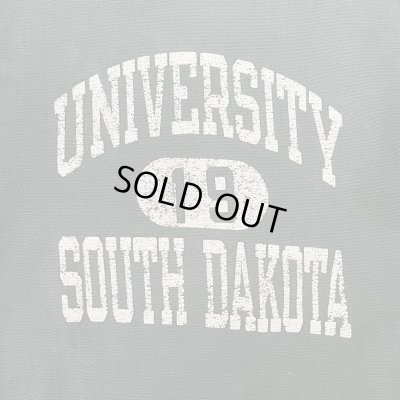 画像3: 90'S CHAMPION "三段プリント" 刺繍タグ リバースウィーブ フェードグリーン メキシコ製 (VINTAGE)