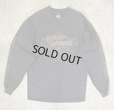 画像1: 00'S HARLEY DAVIDSON 両面プリント 袖フレイム 長袖 Tシャツ フェードブラック USA製 (VINTAGE)