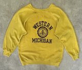 80'S CHAMPION トリコタグ フロッキープリント ラグランスリーブ スウェット マスタード USA製 (VINTAGE)