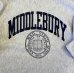 画像3: 90'S CHAMPION "MIDDLEBURY" 刺繍タグ リバースウィーブ グレー USA製 (VINTAGE) (3)