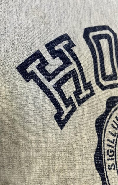 画像4: 90'S CHAMPION "HOPE COLLEGE" 刺繍タグ 染み込み三段プリント リバースウィーブ グレー メキシコ製 (VINTAGE)