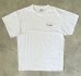 画像3: 90'S MICROSOFT OFFICE 両面プリント 半袖 Tシャツ ホワイト (VINTAGE) (3)