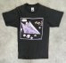 画像1: 90'S BERTHIO "AMNESTY INTERNATIONAL" シングルステッチ 半袖 Tシャツ ブラック カナダ製 (VINTAGE) (1)