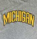 画像3: 90'S SAND-KNIT "MICHIGAN" 半袖 Tシャツ ヘザーグレー (VINTAGE) (3)