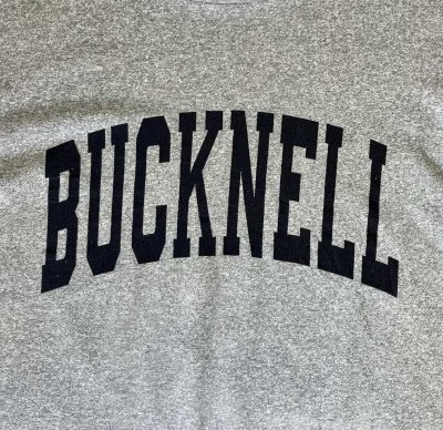 画像6: 90'S THE COTTON EXCHANGE "BUCKNELL" シングルステッチ 両面プリント 半袖 Tシャツ ヘザーグレー USA製 (VINTAGE)