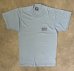 画像1: 90'S EXECUTIVE SOFTWARE 両面プリント シングルステッチ 半袖 Tシャツ サックスブルー USA製 (VINTAGE) (1)
