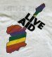 画像3: 80'S LIVE AID シングルステッチ 半袖 Tシャツ ホワイト USA製 (VINTAGE) (3)