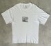 画像1: 90'S GAP シングルステッチ 半袖 フォトTシャツ ホワイト USA製 (VINTAGE) (1)