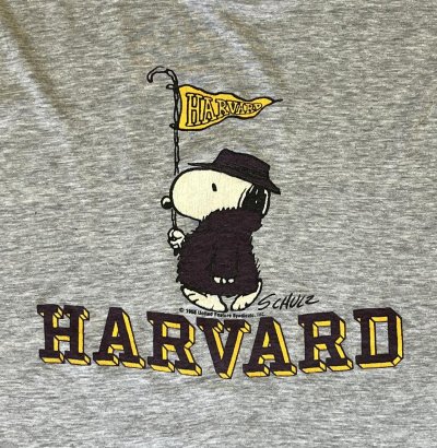 画像3: 80'S HARVARD x SNOOPY シングルステッチ 半袖 Tシャツ ヘザーグレー (VINTAGE)
