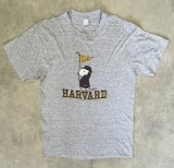 80'S HARVARD x SNOOPY シングルステッチ 半袖 Tシャツ ヘザーグレー (VINTAGE)