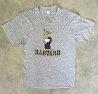 80'S HARVARD x SNOOPY シングルステッチ 半袖 Tシャツ ヘザーグレー (VINTAGE)