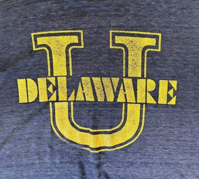 画像2: 80'S DELAWARE トライブレンド シングルステッチ 半袖 Tシャツ ダークネイビー (VINTAGE)