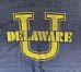 画像2: 80'S DELAWARE トライブレンド シングルステッチ 半袖 Tシャツ ダークネイビー (VINTAGE) (2)