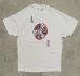 画像1: 90'S CELTIC HOUND KNOT シングルステッチ 半袖 Tシャツ ホワイト USA製 (VINTAGE) (1)