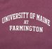 画像3: 90'S MV SPORT "UNIVERSITY OF MAINE" ヘビーウエイト スウェットシャツ バーガンディ (VINTAGE) (3)