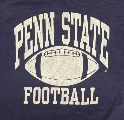 画像3: 90'S DELTA "PENN STATE FOOTBALL" スウェットシャツ ネイビー USA製 (VINTAGE)