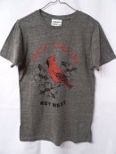 画像: Rxmance 「T-Shirt」 入荷しました。