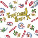 画像: DJ MURO / TROPICOOL BOOGIE X 「Mix CD」 入荷しました。