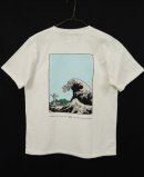 画像: Cal O Line 「T-Shirt」 入荷しました。
