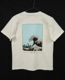 画像: Cal O Line 「T-Shirt」 入荷しました。