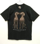 画像: 90'S WILLIAM WEGMAN "ARC" FOTOFOLIO製 半袖Tシャツ (VINTAGE) 「T-Shirt」 入荷しました。