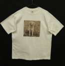 画像: 90'S GAP "ラブラドールレトリバー" フォト Tシャツ (VINTAGE) 「T-Shirt」 入荷しました。