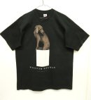 画像: 80'S WILLIAM WEGMAN "IN THE BOX" FOTOFOLIO製 半袖Tシャツ USA製 (VINTAGE) 「T-Shirt」 入荷しました。