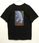 画像: PATAGONIA ”HALEIWA" オーガニックコットン 半袖 Tシャツ USA製 (USED) 「T-Shirt」 入荷しました。