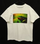 画像: PATAGONIA オーガニックコットン 半袖 フォトTシャツ USA製 (USED) 「T-Shirt」 入荷しました。