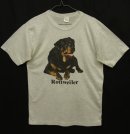 画像: 90'S ROTTWEILER シングルステッチ 半袖 Tシャツ ヘザーグレー カナダ製 (VINTAGE) 「T-Shirt」 入荷しました。